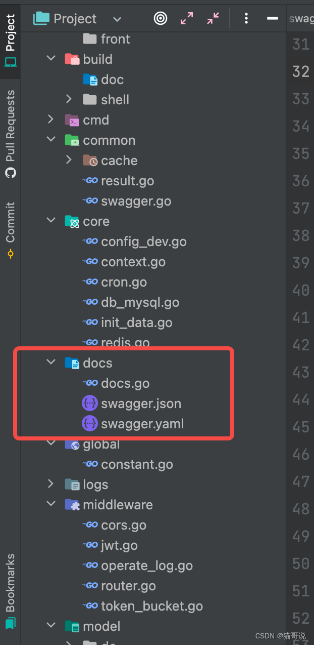 swagger init2.png